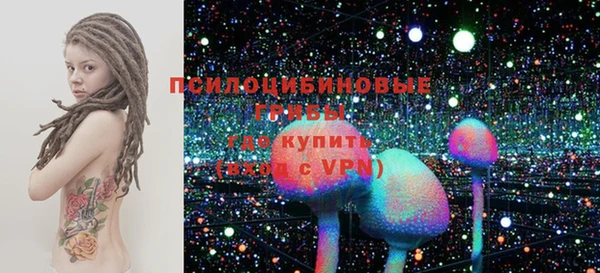индика Алзамай