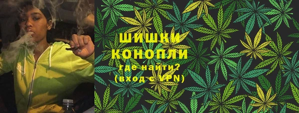 индика Алзамай
