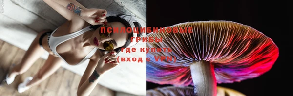 индика Алзамай