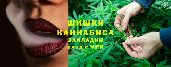 индика Алзамай