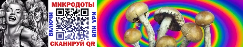 Галлюциногенные грибы Cubensis  Рыбное 